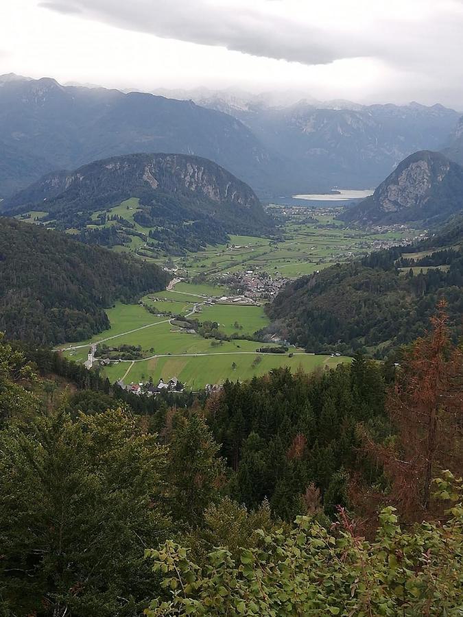 Apartamento Soba Pri Bregarju Bohinj Exterior foto