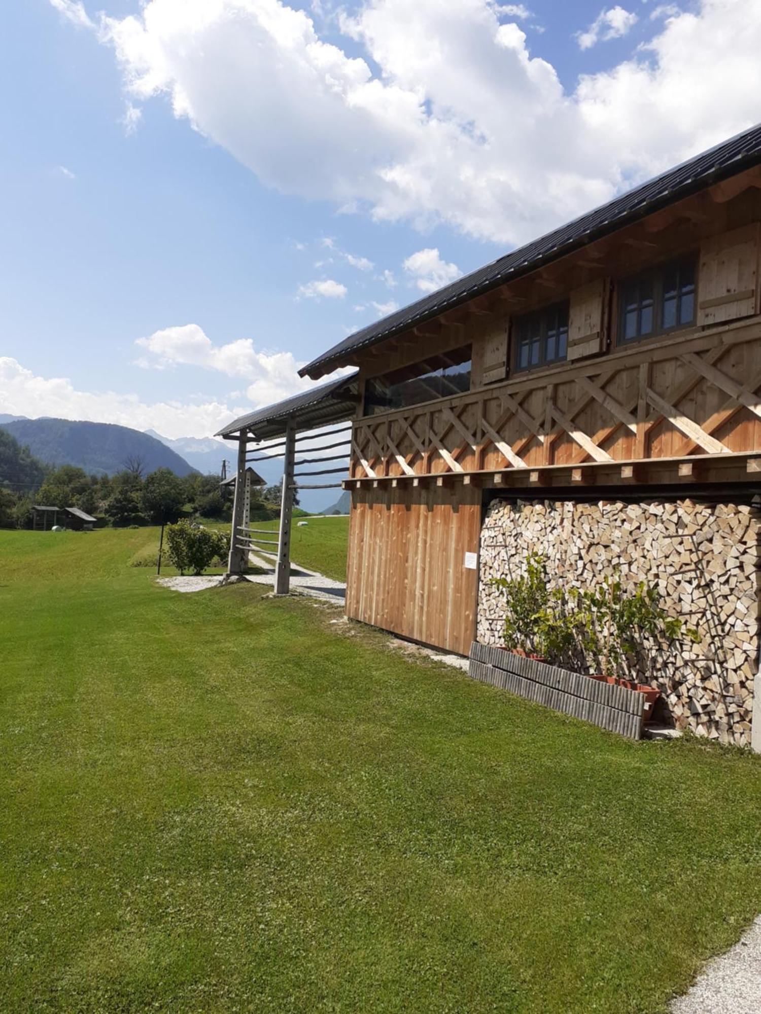 Apartamento Soba Pri Bregarju Bohinj Exterior foto